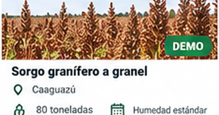 Sorgo granífero a granel
